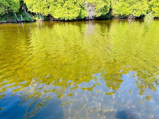 North/East Shore Grace Lake, Wilberforce Ontario, Canada