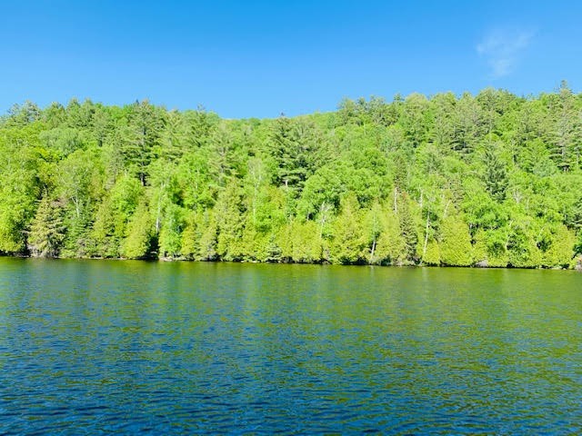 North/East Shore Grace Lake, Wilberforce Ontario, Canada
