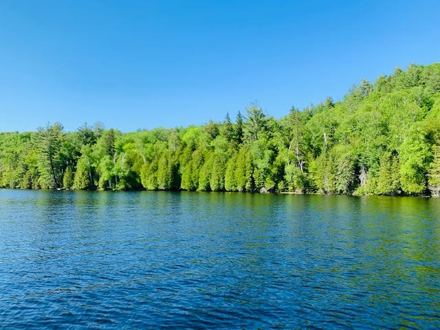 North/East Shore Grace Lake, Wilberforce Ontario, Canada