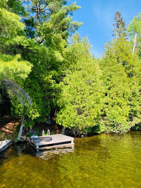 North/East Shore Grace Lake, Wilberforce Ontario, Canada