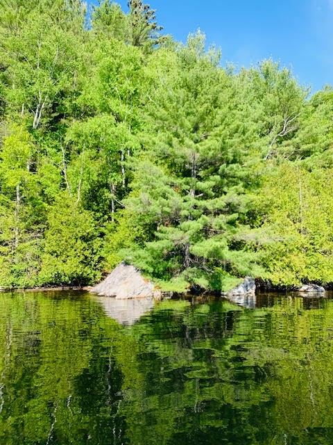 North/East Shore Grace Lake, Wilberforce Ontario, Canada