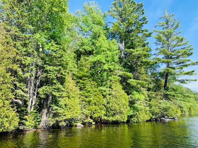 North/East Shore Grace Lake, Wilberforce Ontario, Canada