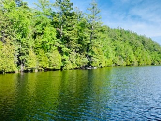 North/East Shore Grace Lake, Wilberforce Ontario, Canada