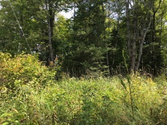 0 Hass Road, Boulter Ontario, Canada