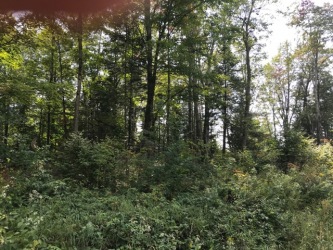 0 Hass Road, Boulter Ontario, Canada