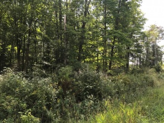 0 Hass Road, Boulter Ontario, Canada
