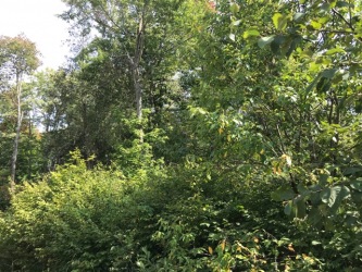 0 Hass Road, Boulter Ontario, Canada