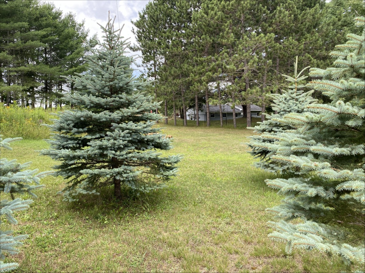 26686 Highway 62 South, Bancroft, Ontario, Canada