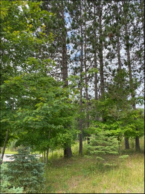 26686 Highway 62 South, Bancroft, Ontario, Canada
