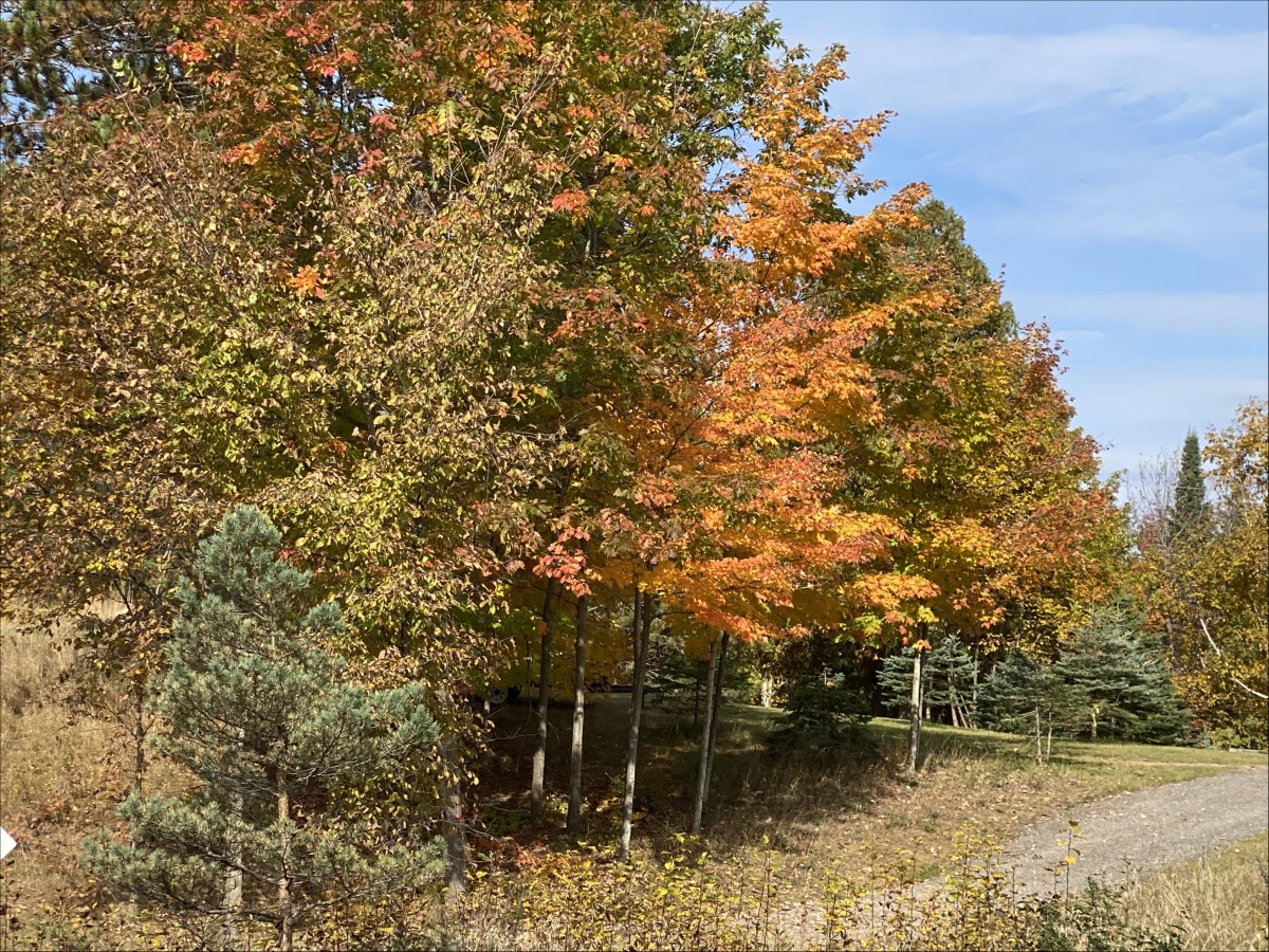 26686 Highway 62 South, Bancroft, Ontario, Canada