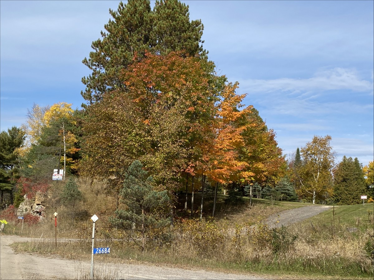 26686 Highway 62 South, Bancroft, Ontario, Canada
