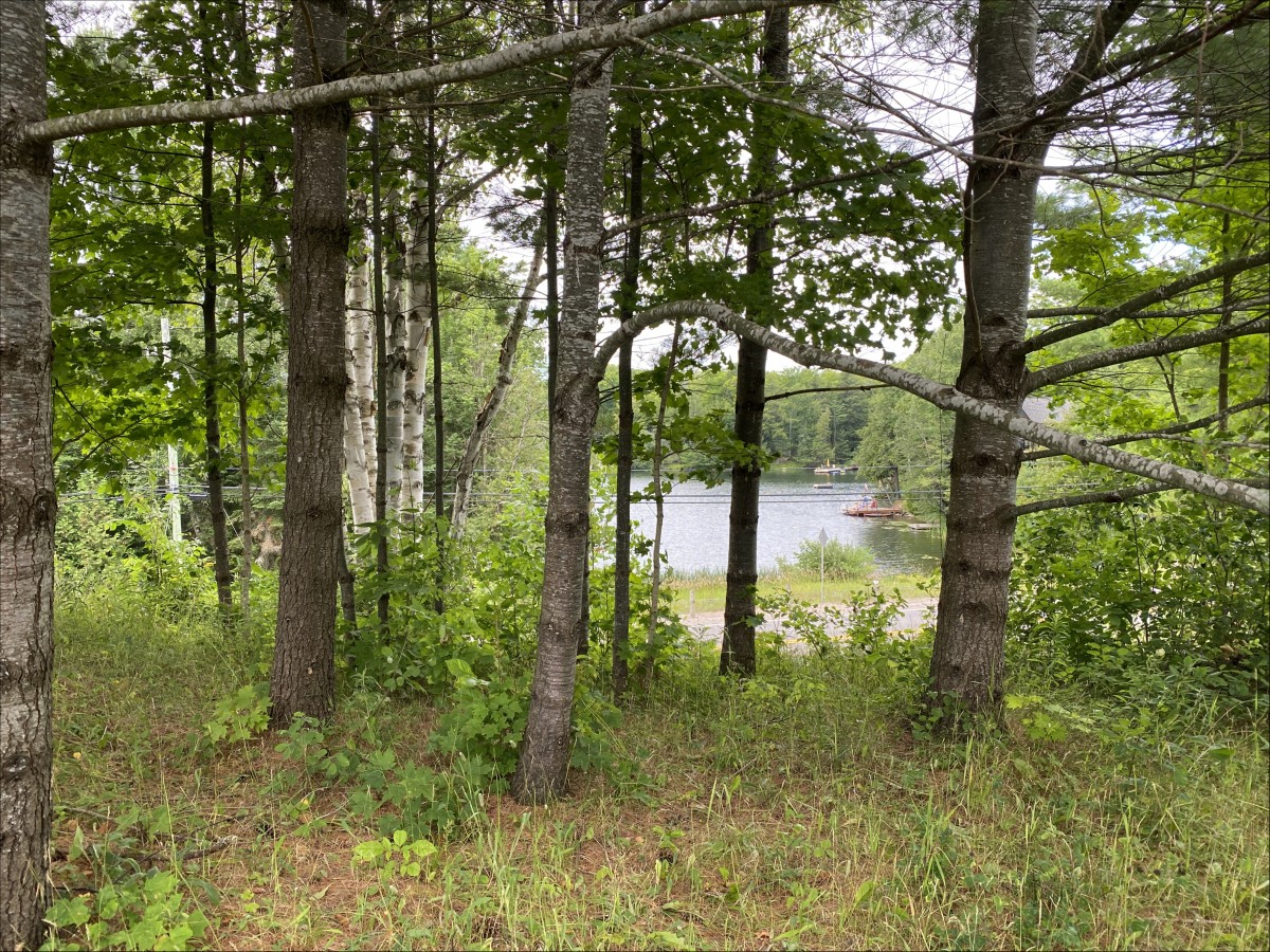 26686 Highway 62 South, Bancroft, Ontario, Canada