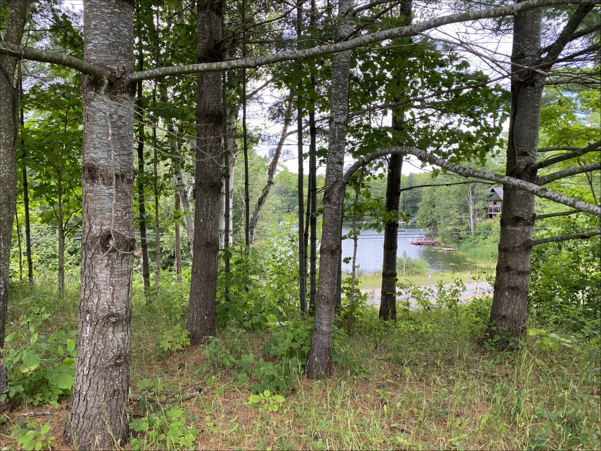 26686 Highway 62 South, Bancroft, Ontario, Canada