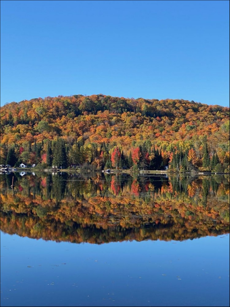 215D Paradise Landing, Maynooth, Ontario, Canada
