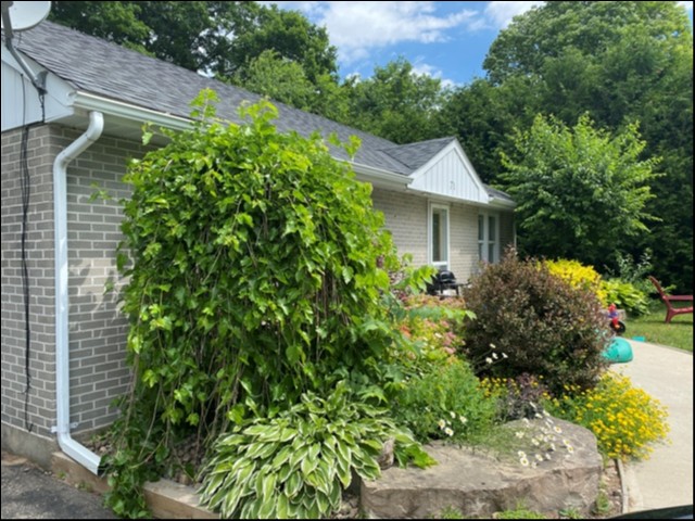 71 Maple St, Bancroft, Ontario, Canada