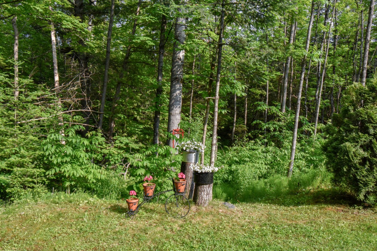 1186 Upper Paudash Rd, Bancroft, Ontario, Canada