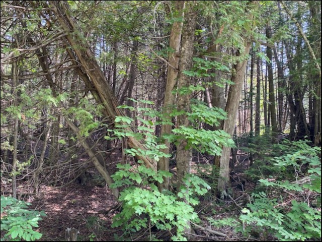 0 Cross Country Rd, Bancroft, Ontario, Canada