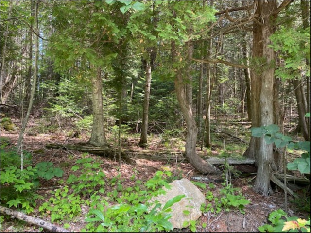 0 Cross Country Rd, Bancroft, Ontario, Canada
