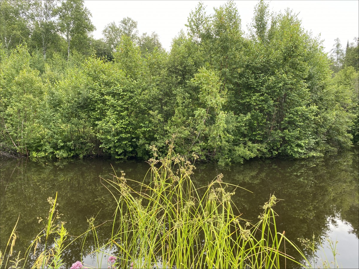 243 Whytes Road, Boulter, Ontario, Canada