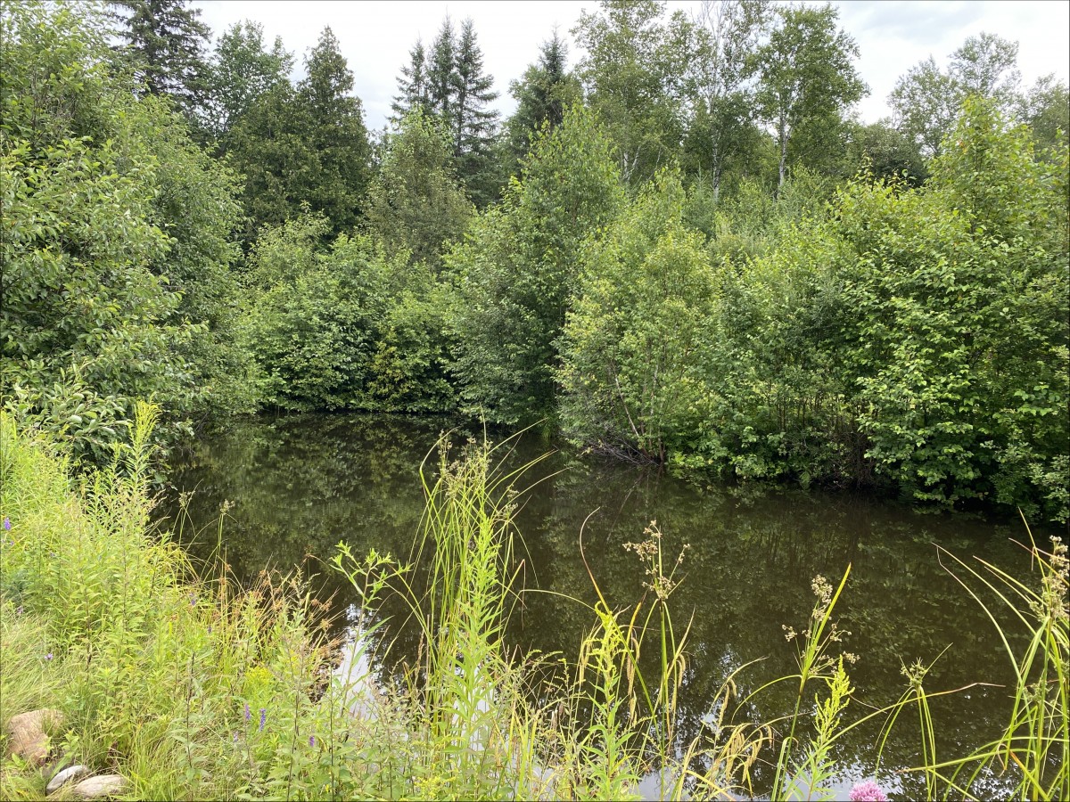 243 Whytes Road, Boulter, Ontario, Canada