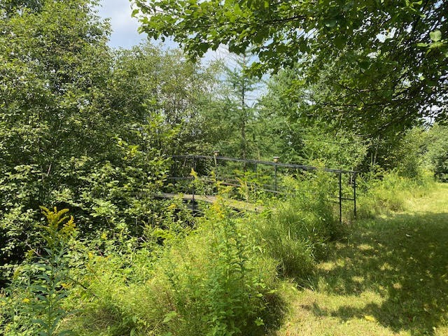 243 Whytes Road, Boulter, Ontario, Canada