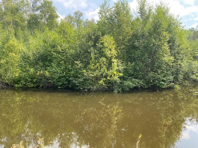 243 Whytes Road, Boulter, Ontario, Canada