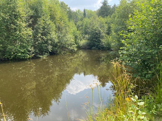243 Whytes Road, Boulter, Ontario, Canada