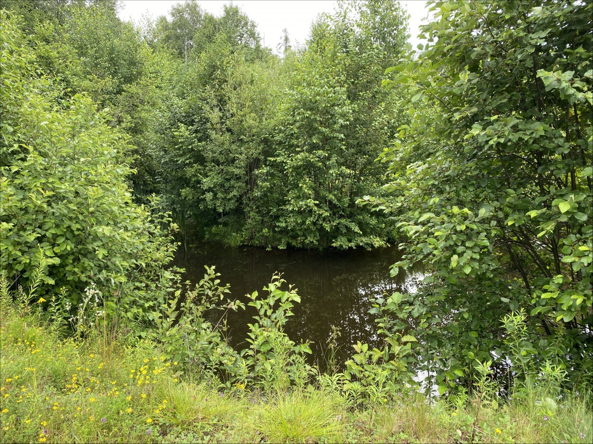 243 Whytes Road, Boulter, Ontario, Canada