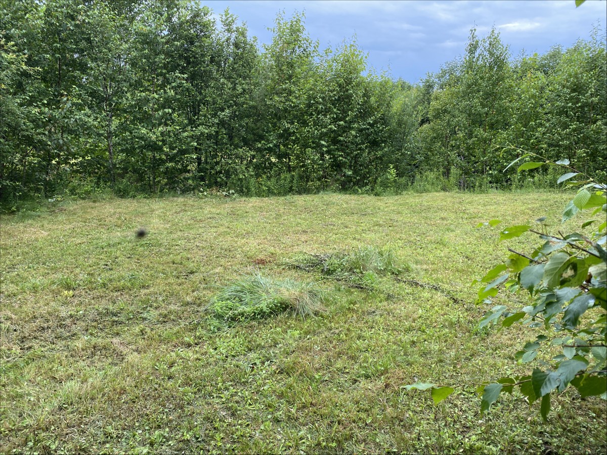 243 Whytes Road, Boulter, Ontario, Canada