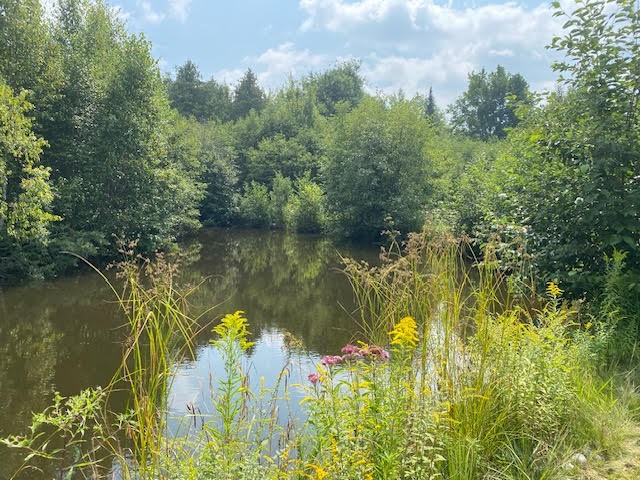 243 Whytes Road, Boulter, Ontario, Canada