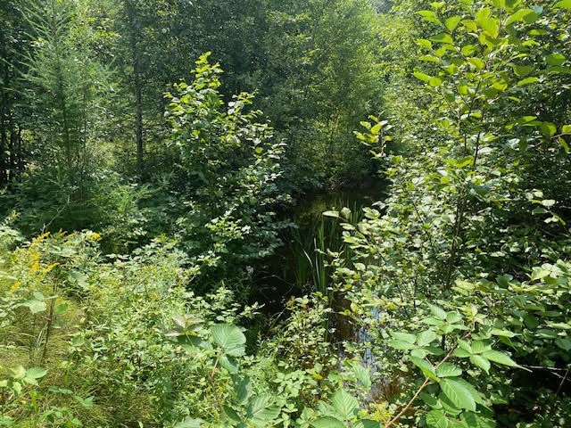 243 Whytes Road, Boulter, Ontario, Canada