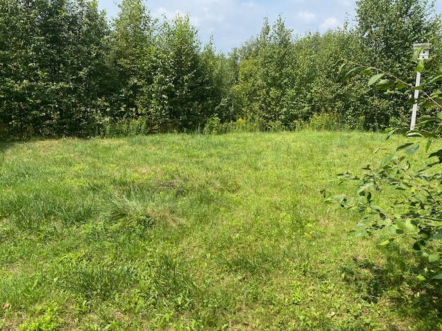243 Whytes Road, Boulter, Ontario, Canada