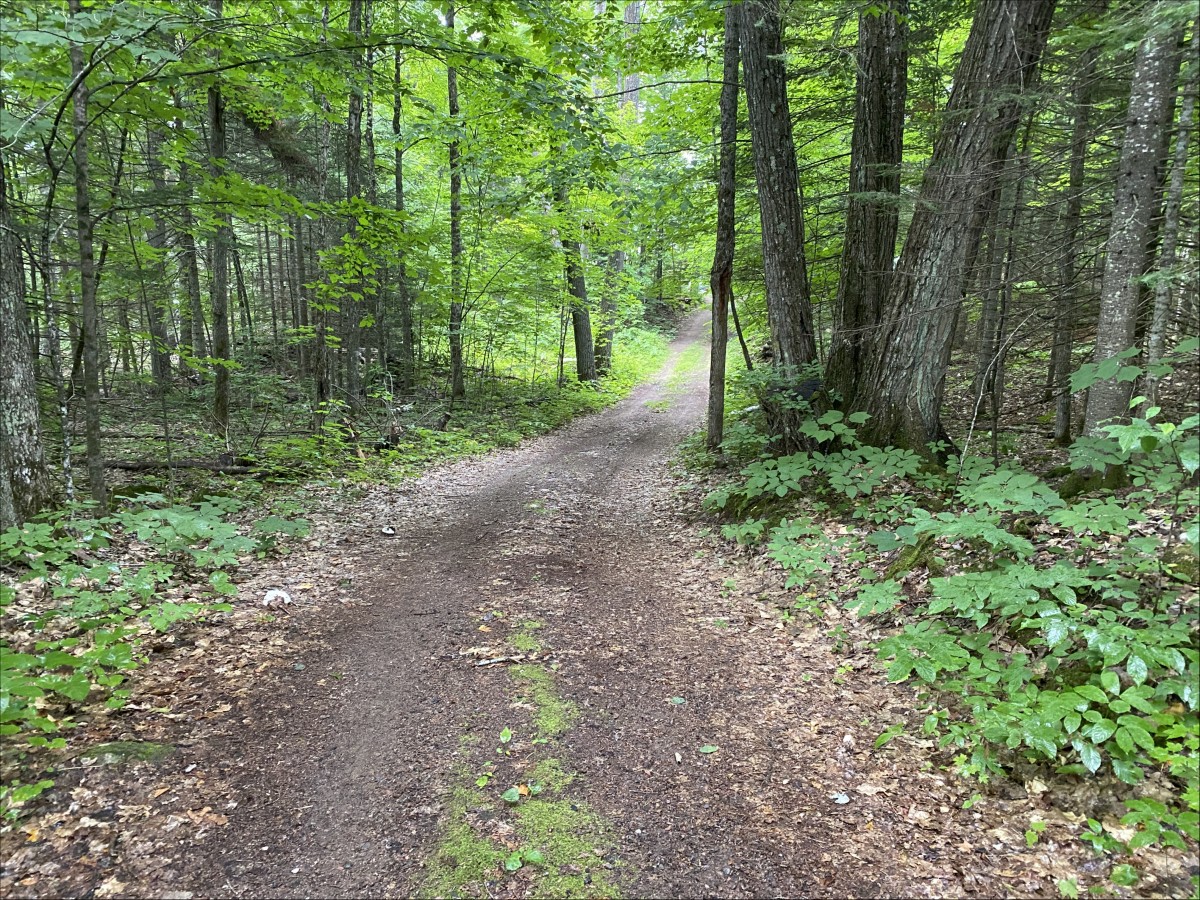 369B Cottage Lane, McArthurs Mills, Ontario, Canada