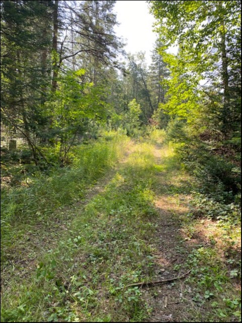 0 Highway 620, Coe Hill, Ontario, Canada