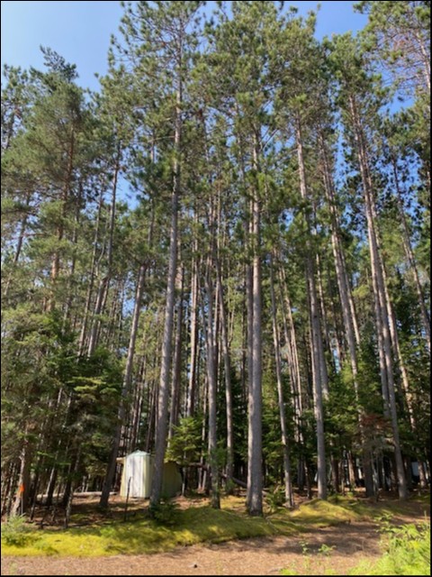 0 Highway 620, Coe Hill, Ontario, Canada