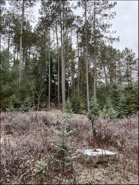 0 Highway 620, Coe Hill, Ontario, Canada