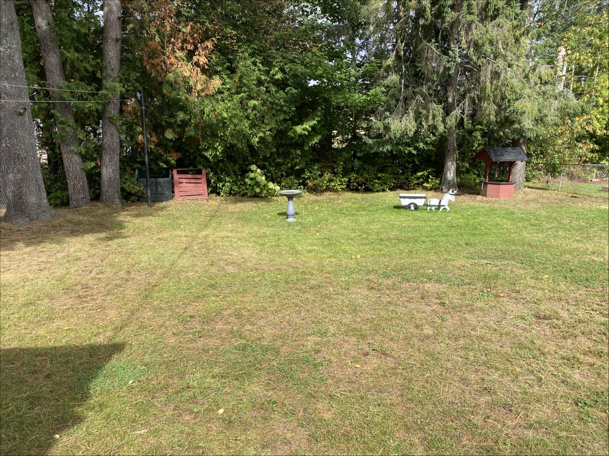 36 Hemlock Street, Cardiff, Ontario, Canada