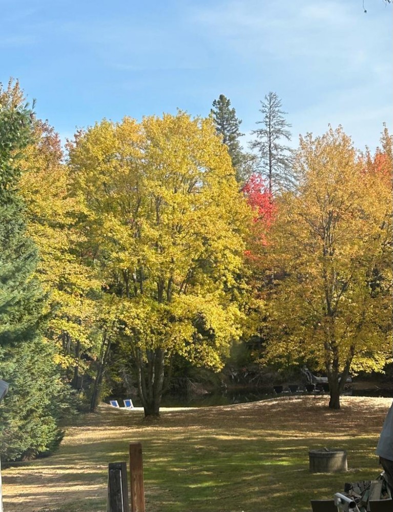 343 Glory Road, Bancroft, Ontario, Canada