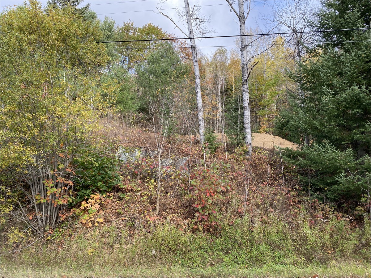 178 Gaebel Road, Bancroft, Ontario, Canada