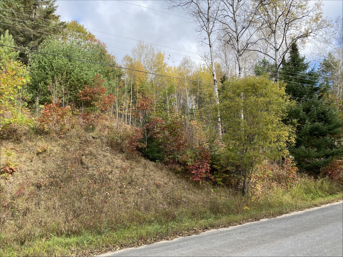 178 Gaebel Road, Bancroft, Ontario, Canada