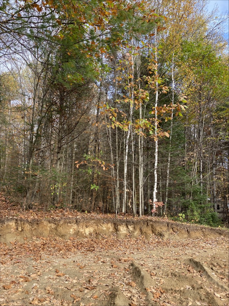 178 Gaebel Road, Bancroft, Ontario, Canada