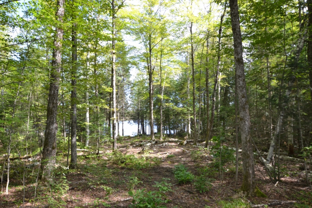King Road, Wollaston Ontario, Canada