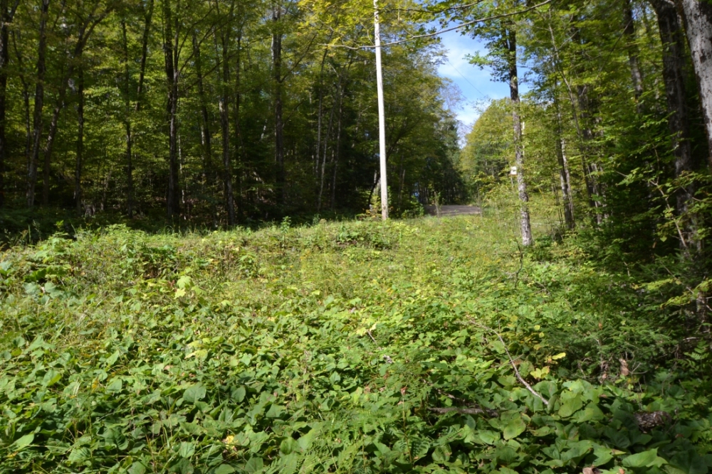 King Road, Wollaston Ontario, Canada