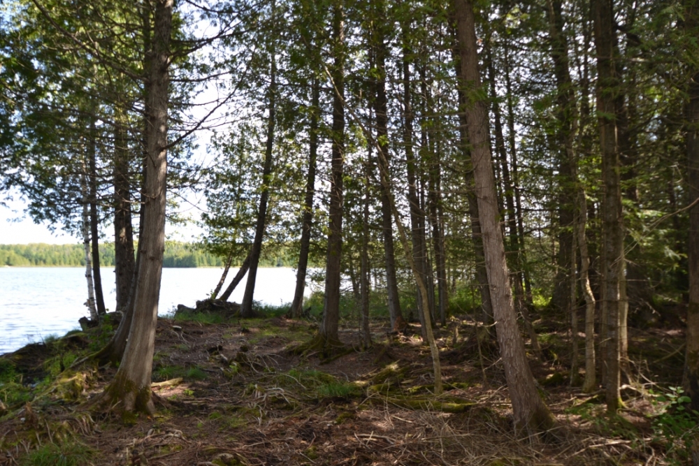 King Road, Wollaston Ontario, Canada