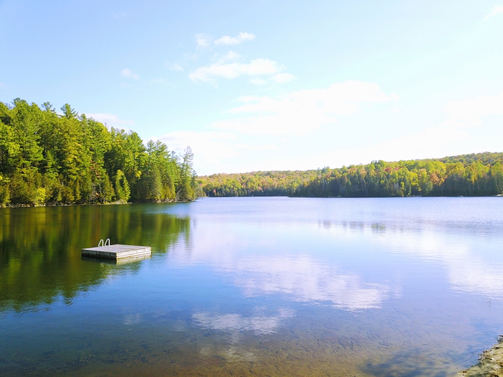 1988 Bay Lake Road, Faraday Ontario, Canada