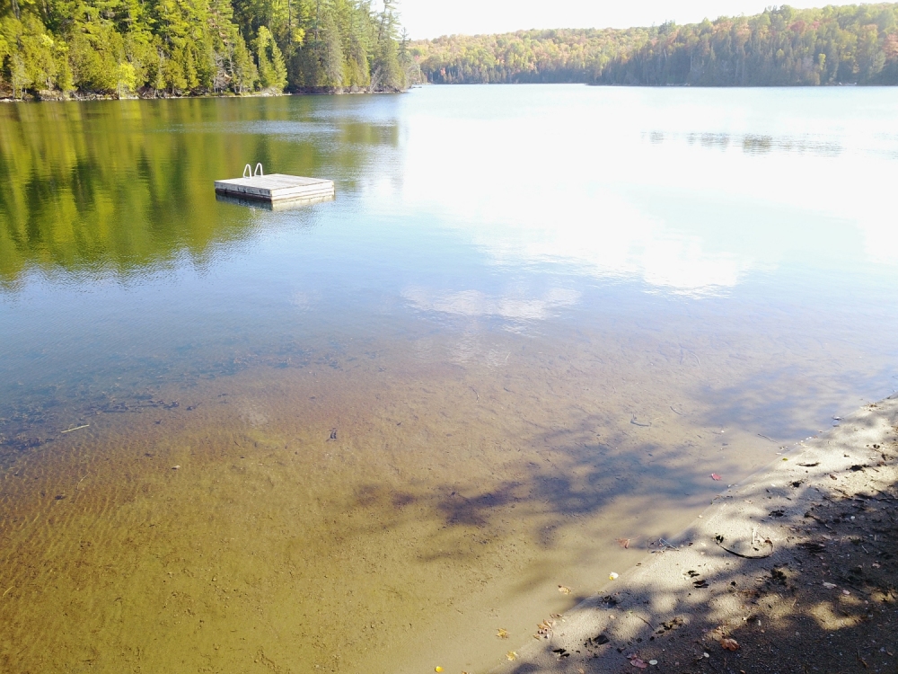 1988 Bay Lake Road, Faraday Ontario, Canada