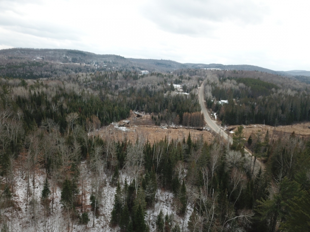 95 Mountney Road, Hastings Highlands Ontario, Canada