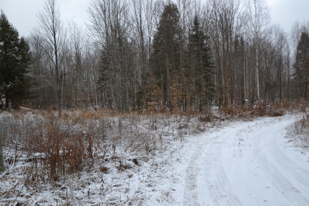Pt Lt 20 A. Guy Wilson Road, Carlow Mayo Ontario, Canada
