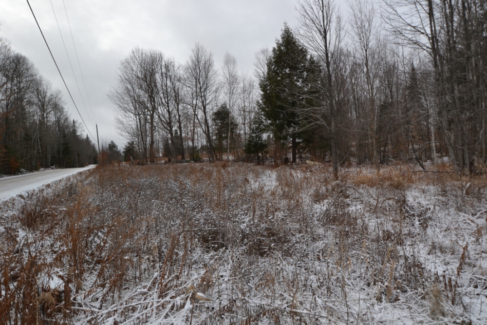 Pt Lt 20 A. Guy Wilson Road, Carlow Mayo Ontario, Canada