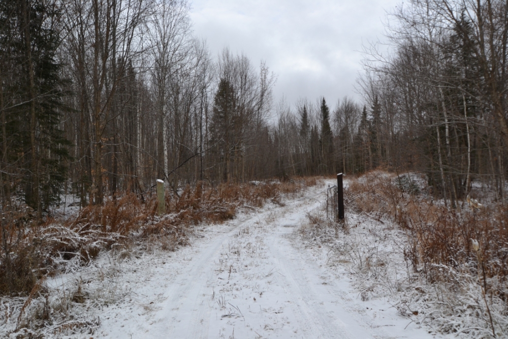 Pt Lt 20 A. Guy Wilson Road, Carlow Mayo Ontario, Canada